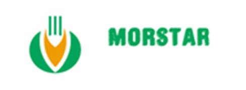 Morstar